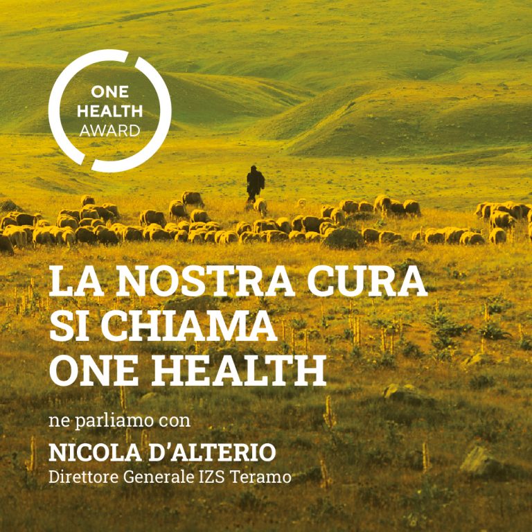 OHA_social_1000x1000px